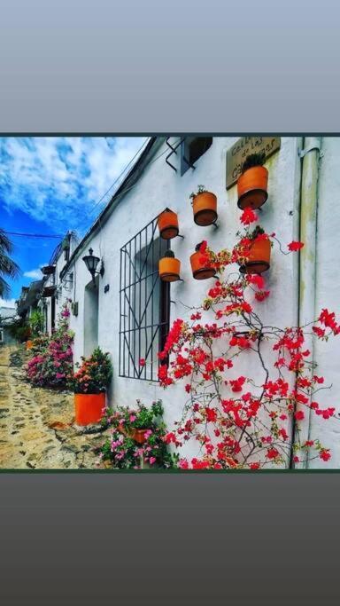 41, Aldea Doradal Santorini Colombiano
